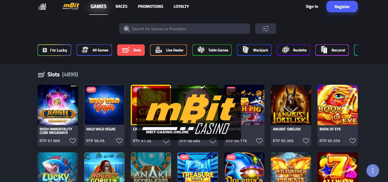 Resources at Mbit Casino